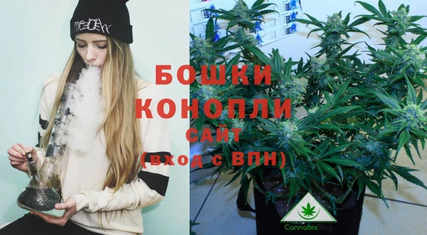 каннабис Бородино