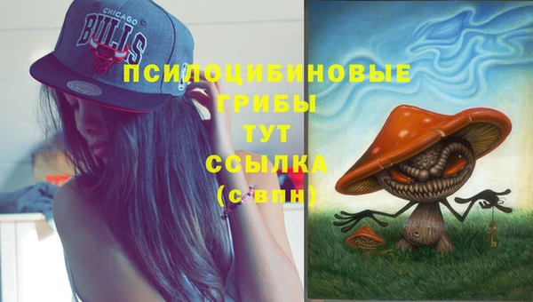 каннабис Бородино