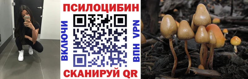 Псилоцибиновые грибы мухоморы  дарнет шоп  Новый Уренгой 